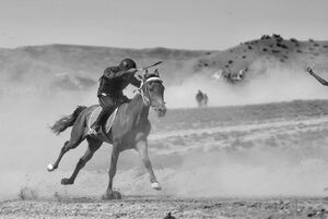 کورس اسب دوانی تابستانه در خراسان شمالی