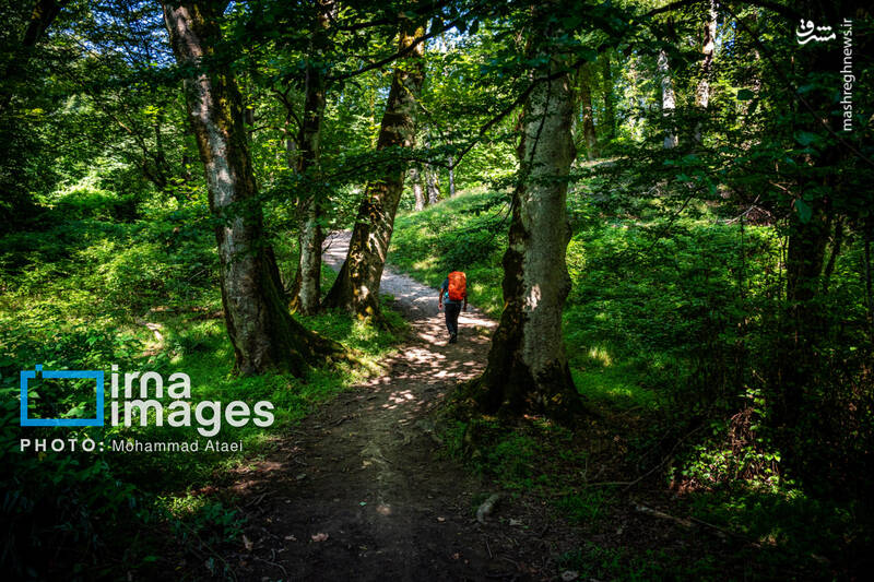 عکس/ آبشار «بهشت باران»