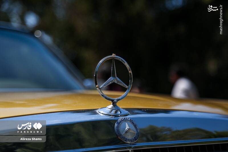 عکس / دورهمی بنزهای کلاسیک در کاخ سعدآباد 14