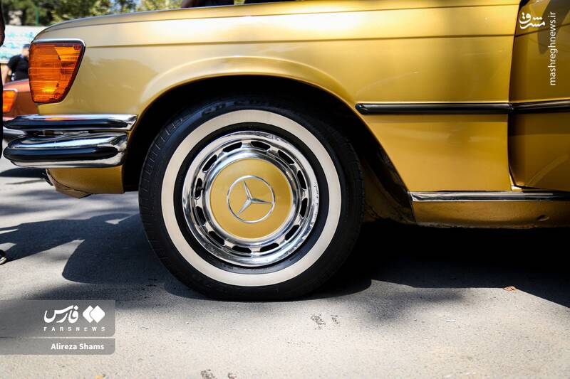 عکس / دورهمی بنزهای کلاسیک در کاخ سعدآباد 10