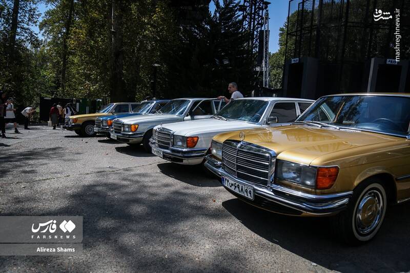عکس / دورهمی بنزهای کلاسیک در کاخ سعدآباد 5
