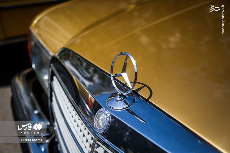 عکس / دورهمی بنزهای کلاسیک در کاخ سعدآباد 4