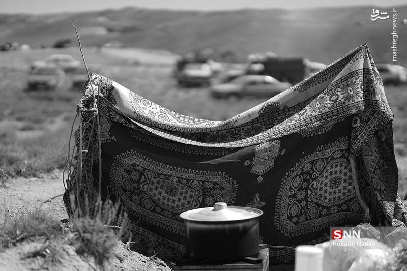 عکس / کورس اسب دوانی تابستانه در خراسان شمالی 15