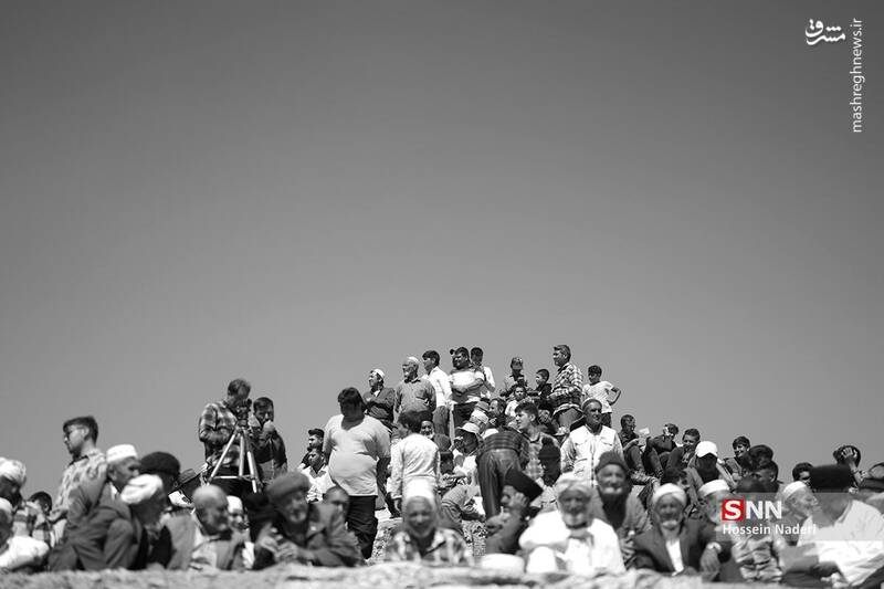 عکس / کورس اسب دوانی تابستانه در خراسان شمالی 9