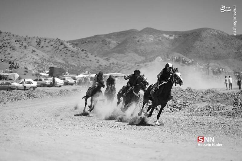 عکس / کورس اسب دوانی تابستانه در خراسان شمالی 12