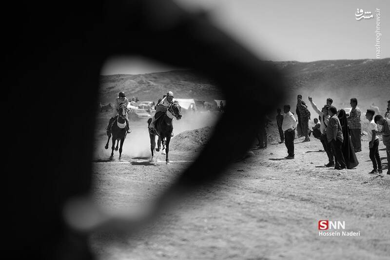 عکس / کورس اسب دوانی تابستانه در خراسان شمالی 10