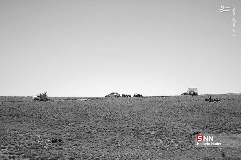 عکس / کورس اسب دوانی تابستانه در خراسان شمالی 8