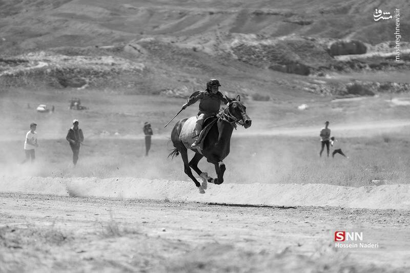 عکس / کورس اسب دوانی تابستانه در خراسان شمالی 6