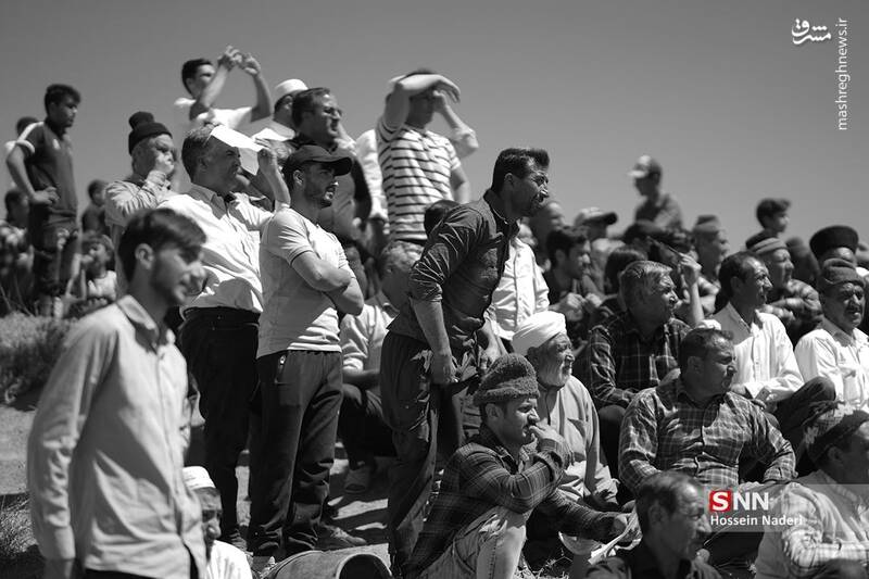 عکس / کورس اسب دوانی تابستانه در خراسان شمالی 3