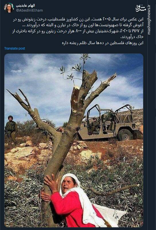 این روزهای فلسطین در دهها سال ظلم ریشه دارد +عکس