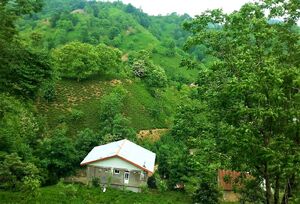 تصویری زیبا از روستای سطلسر لاهیجان