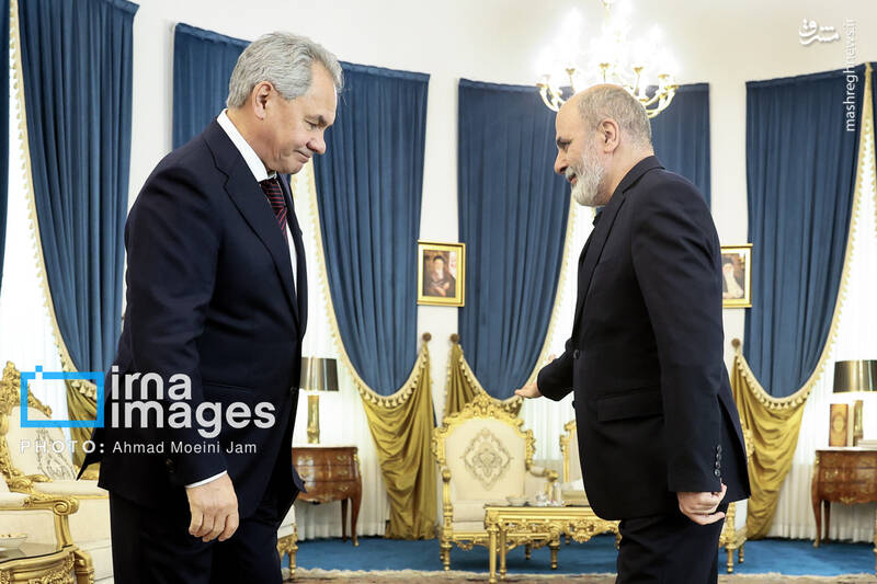 عکس/ دیدار دبیران شورای امنیت روسیه و ایران
