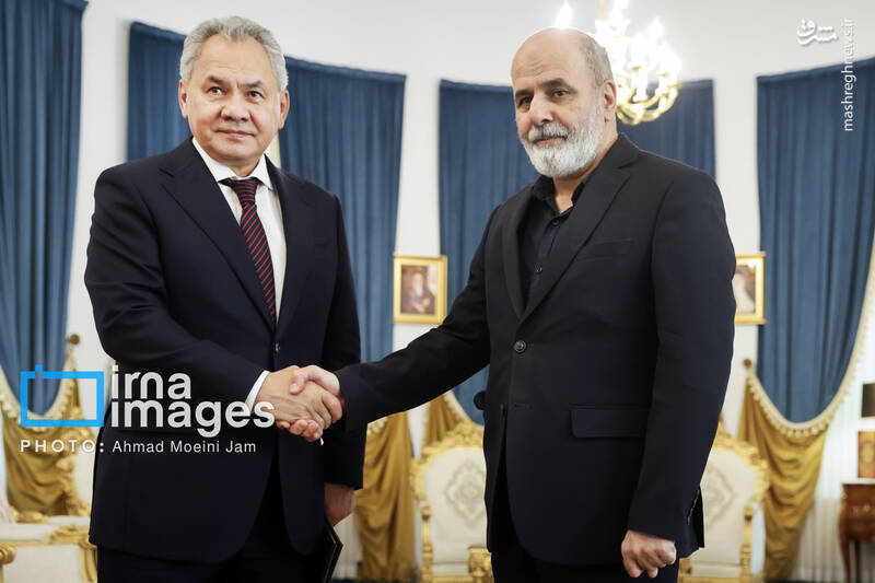 عکس/ دیدار دبیران شورای امنیت روسیه و ایران