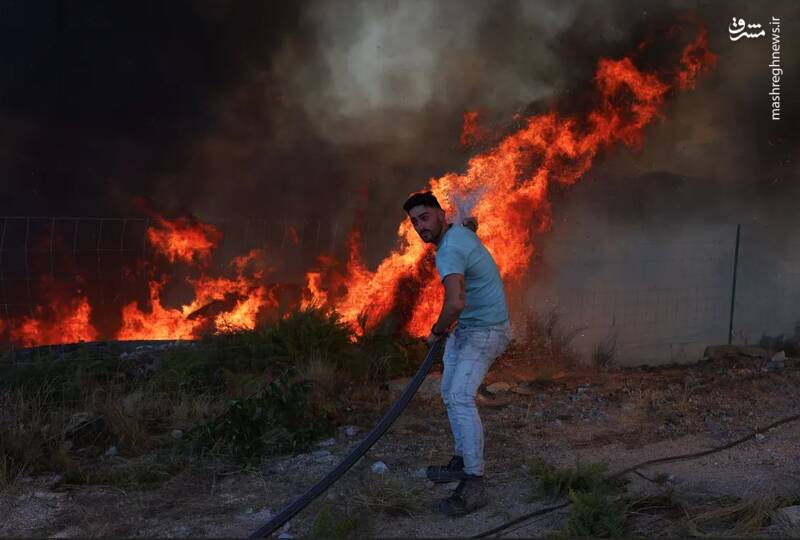 عکس/ اطفای حریق به سبک پرتغالی ها