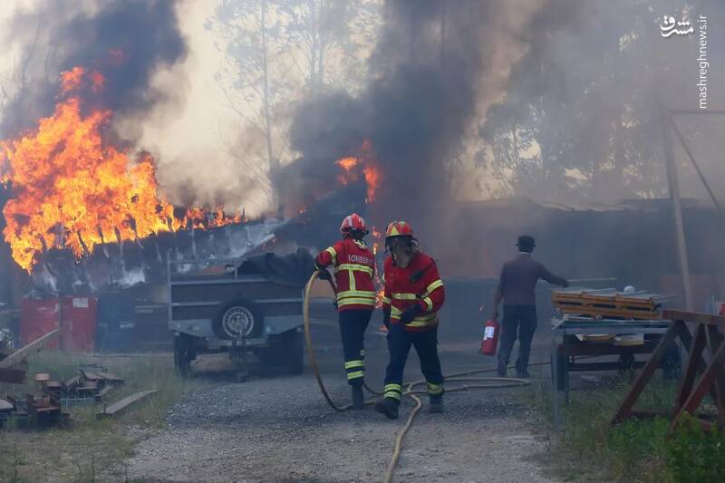 عکس/ اطفای حریق به سبک پرتغالی ها