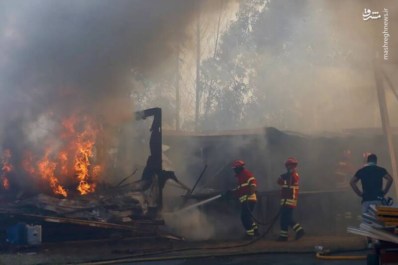 عکس/ اطفای حریق به سبک پرتغالی ها