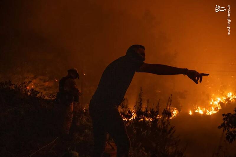 عکس/ اطفای حریق به سبک پرتغالی ها