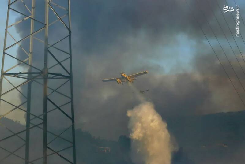 عکس/ اطفای حریق به سبک پرتغالی ها