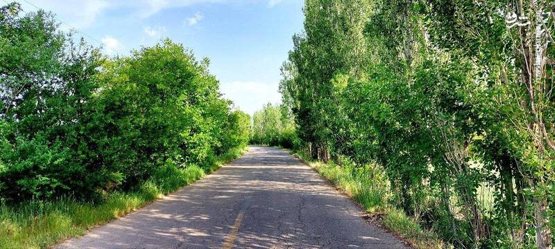 تصاویری از کوچه باغهای شهرستان خرمدره زنجان 4