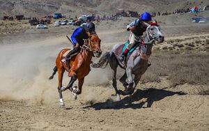 عکس / کورس اسبدوانی در خراسان شمالی