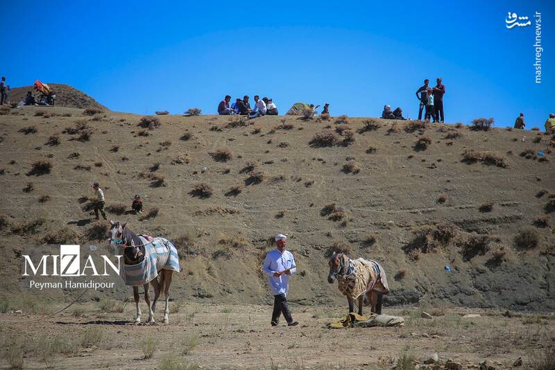 عکس / کورس اسبدوانی در خراسان شمالی 18