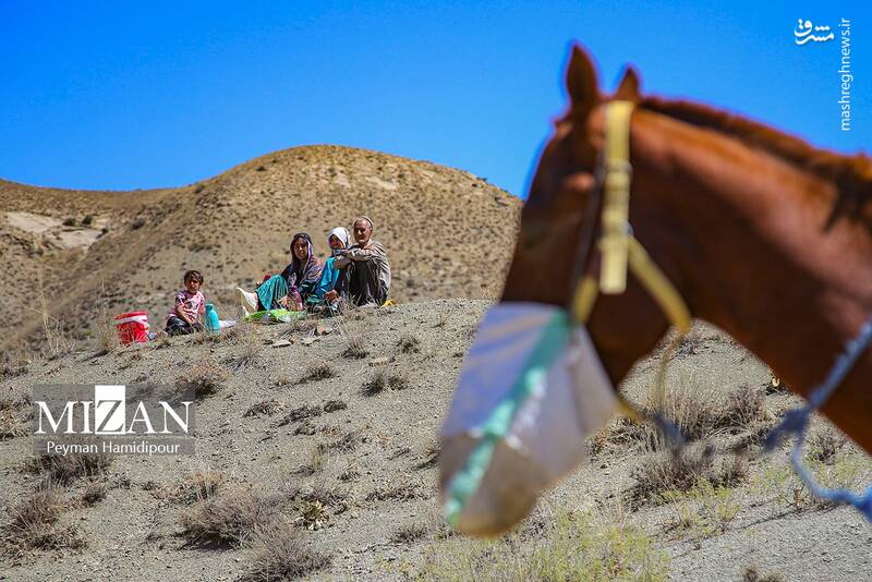 عکس / کورس اسبدوانی در خراسان شمالی 11