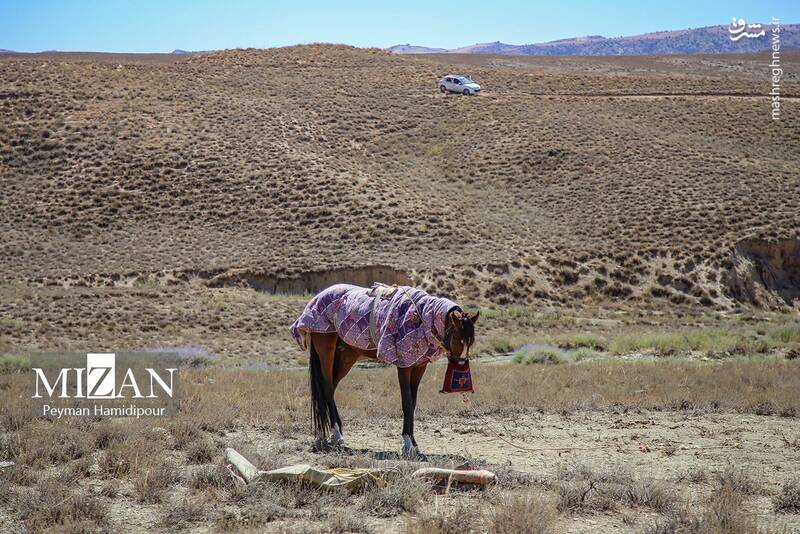 عکس / کورس اسبدوانی در خراسان شمالی 3