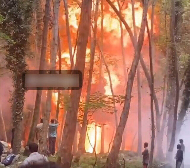 انفجار و حریق جنگل به بهانه ساخت فیلم! +عکس