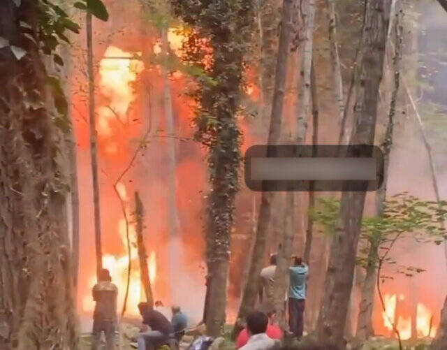 انفجار و حریق جنگل به بهانه ساخت فیلم! +عکس