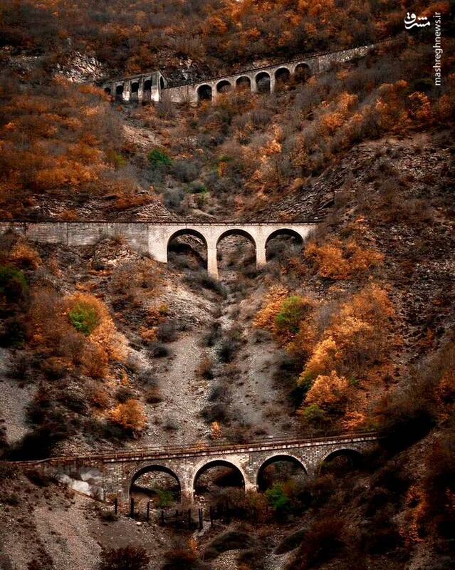 تصویری از حال و هوای پاییزی سه خط طلا