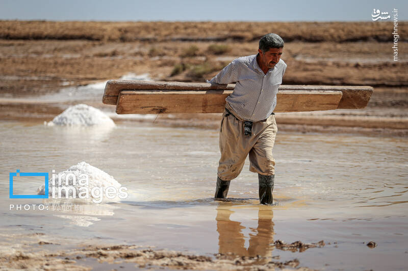 عکس / برداشت سنتی نمک در خراسان شمالی