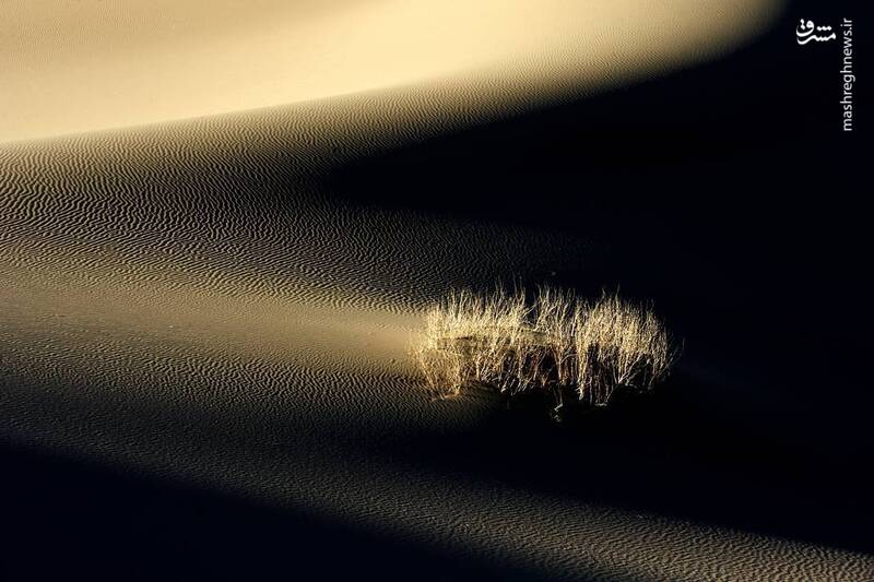 کویر بافق شگفتانگیزترین کویرهای ایران و یزد