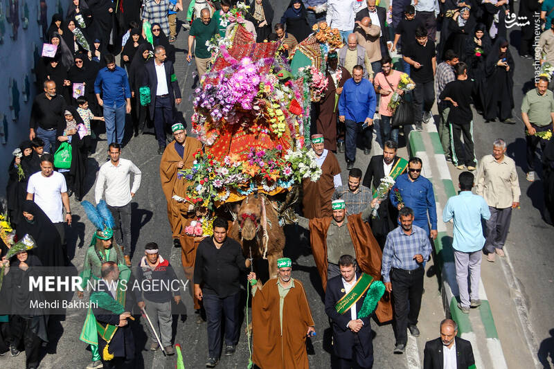 عکس/ کاروان استقبال نمادین ورود حضرت معصومه (س) به قم