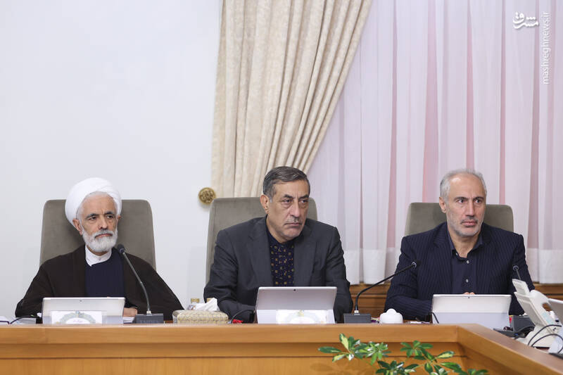 عکس/ اعضای هیئت دولت در جمع خبرنگاران