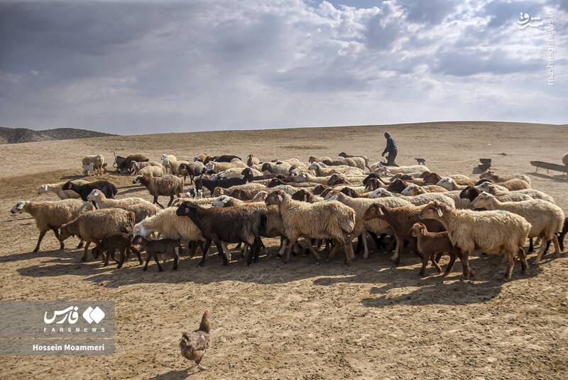 جهادگران