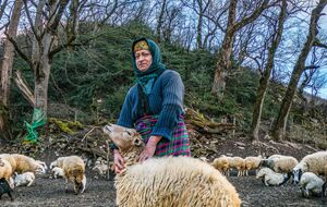 عکس/ زندگی روستایی