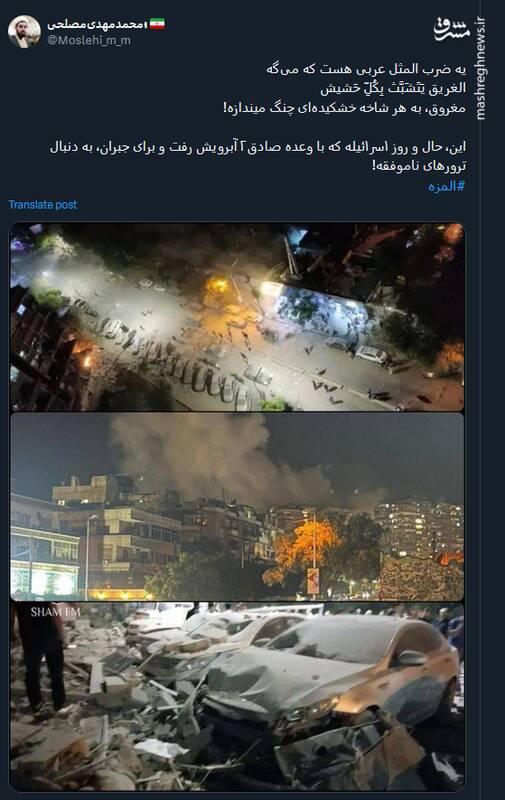 مغروق، به هر شاخه خشکیدهای چنگ میندازه+ عکس