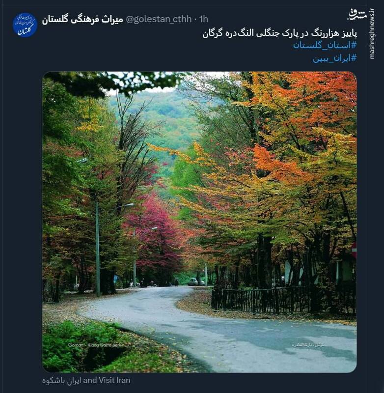 پاییز هزار رنگ در پارک جنگلی النگ دره گرگان + عکس