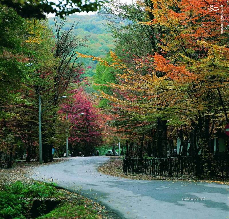 پاییز هزار رنگ در پارک جنگلی النگ دره گرگان + عکس