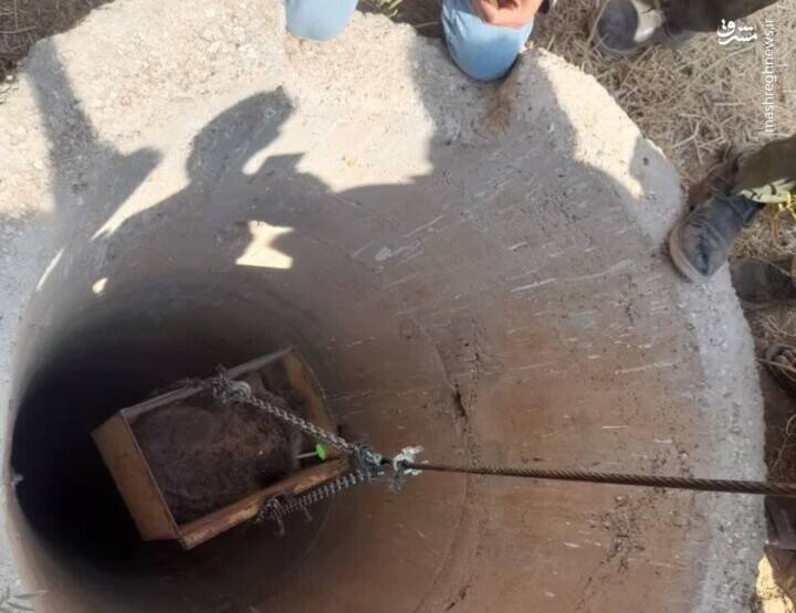 خرس قهوهای از درون چاه کشاورزی در اقلید فارس زنده گیری و تیمار شد