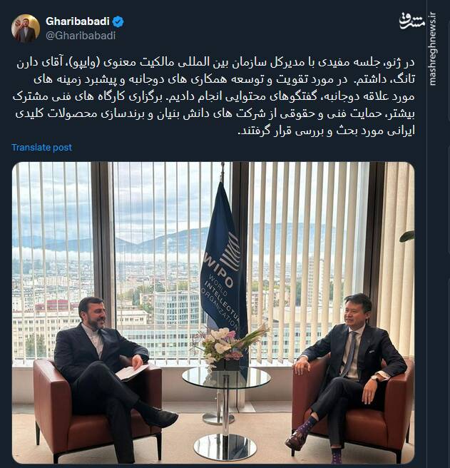 رایزنی غریب آبادی با مدیرکل سازمان بینالمللی مالکیت معنوی