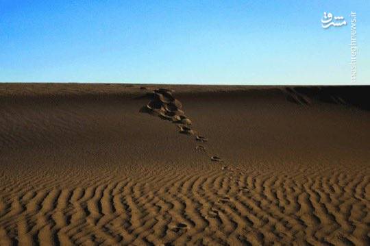 کویر شورآب سمنان + تصاویر