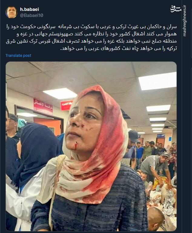 حاکمان ترکی و عربی با سکوت سرنگونی حکومت خود را هموار می کنند