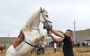 بیست‌ونهمین جشنواره فرهنگی ورزشی عشایر آذربایجان