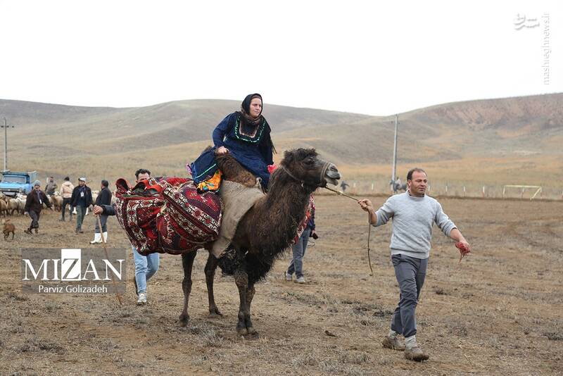 عکس/ بیستونهمین جشنواره فرهنگی ورزشی عشایر آذربایجان