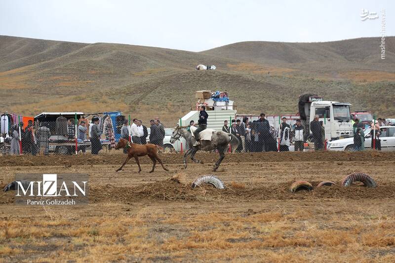 عکس/ بیستونهمین جشنواره فرهنگی ورزشی عشایر آذربایجان