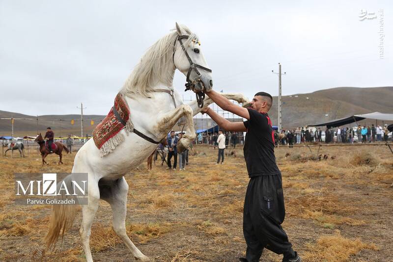 عکس/ بیستونهمین جشنواره فرهنگی ورزشی عشایر آذربایجان