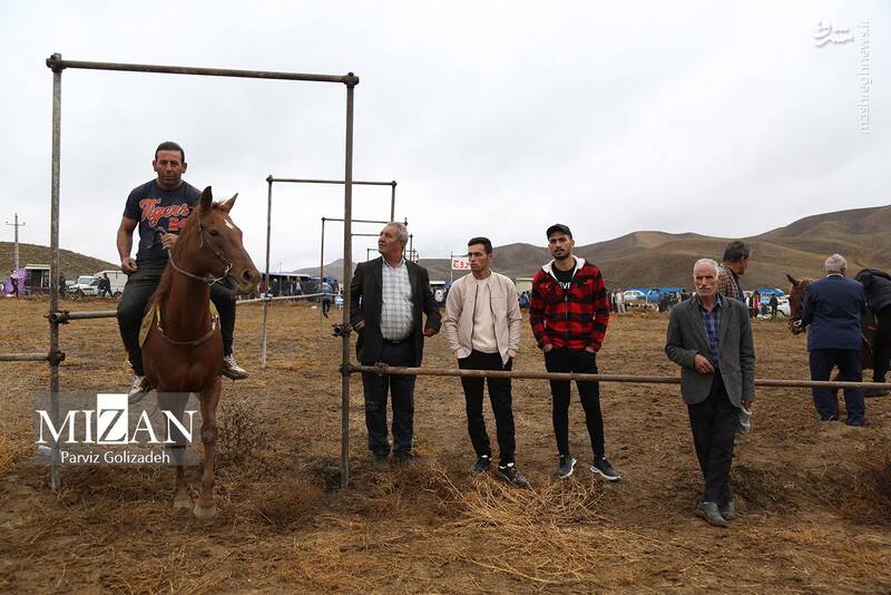 عکس/ بیستونهمین جشنواره فرهنگی ورزشی عشایر آذربایجان