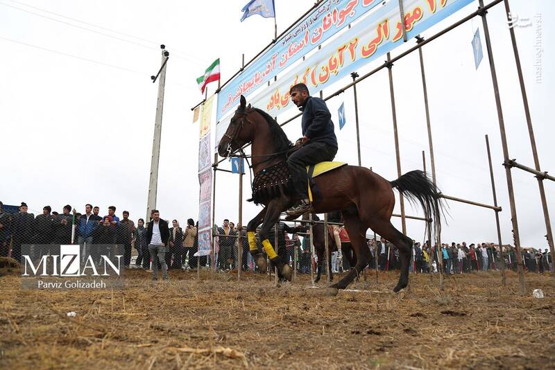 عکس/ بیستونهمین جشنواره فرهنگی ورزشی عشایر آذربایجان