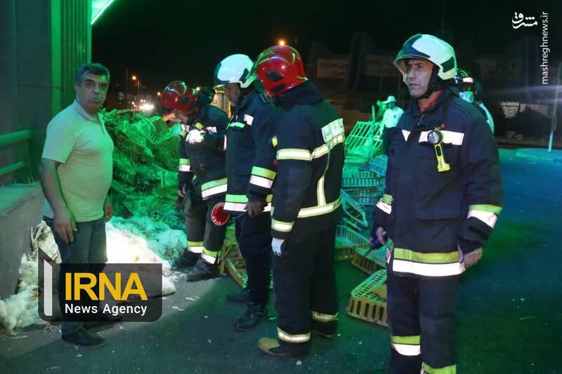 عکس/ برخورد کامیونت حامل مرغ با موانع حاشیه بزرگراه